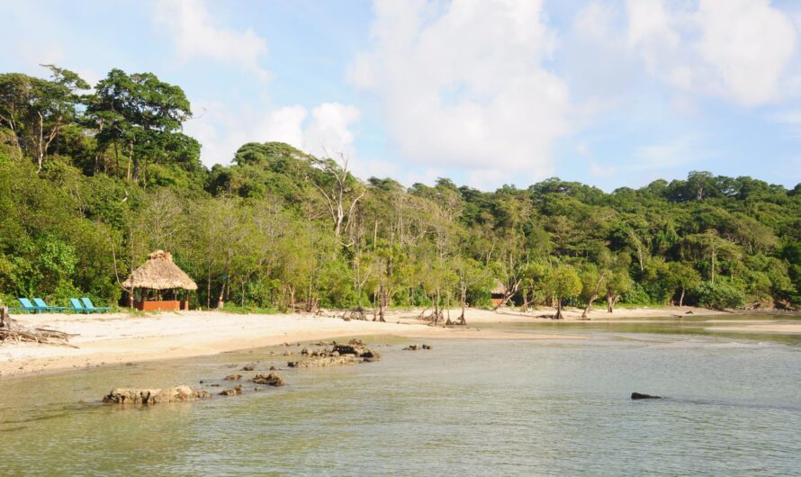Chidiya Tapu Beach – Andaman, Must Visit Place