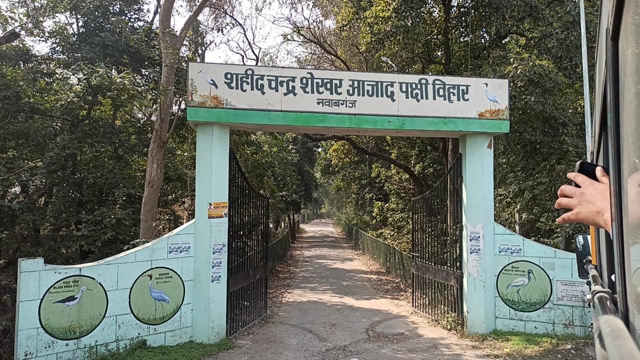 Shahid Chandra Shekhar Azad Bird Sanctuary Nawabganj Unnao