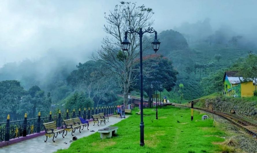 10 Best Beautiful Places to Visit in Nilgiris