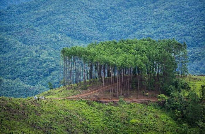 6 Amazing Places to Visit in Ukhrul