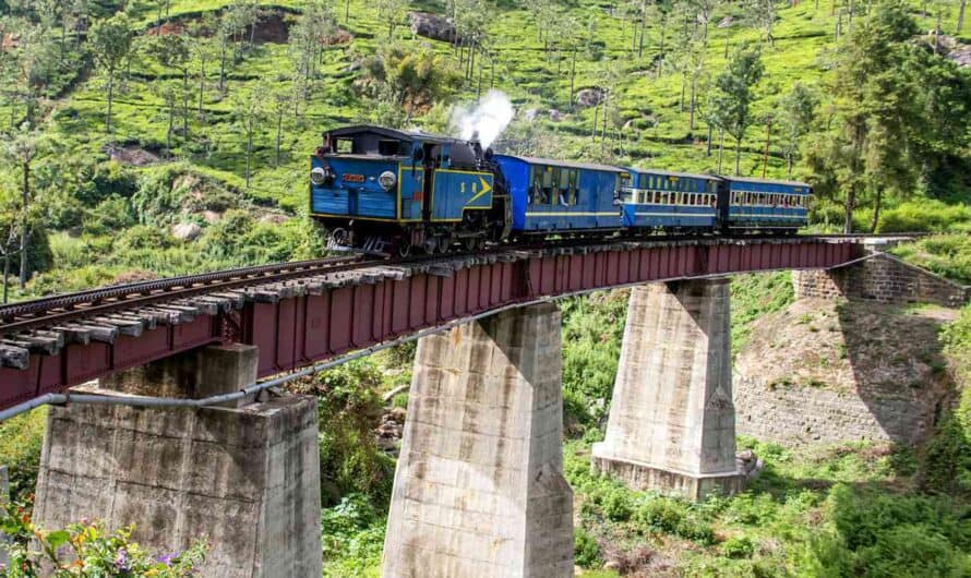 6 Best Places to Visit in Ooty